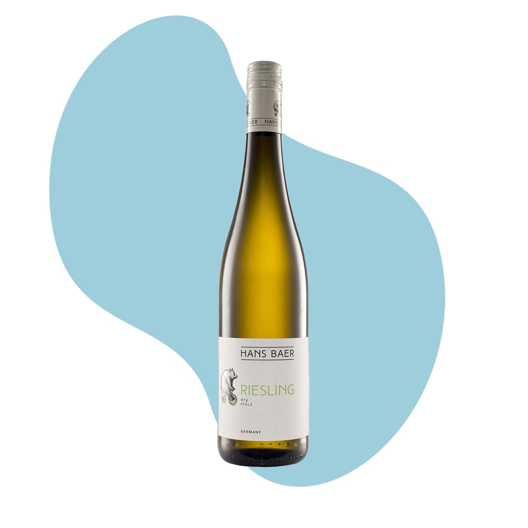 האנס בר גוורצטרמינר